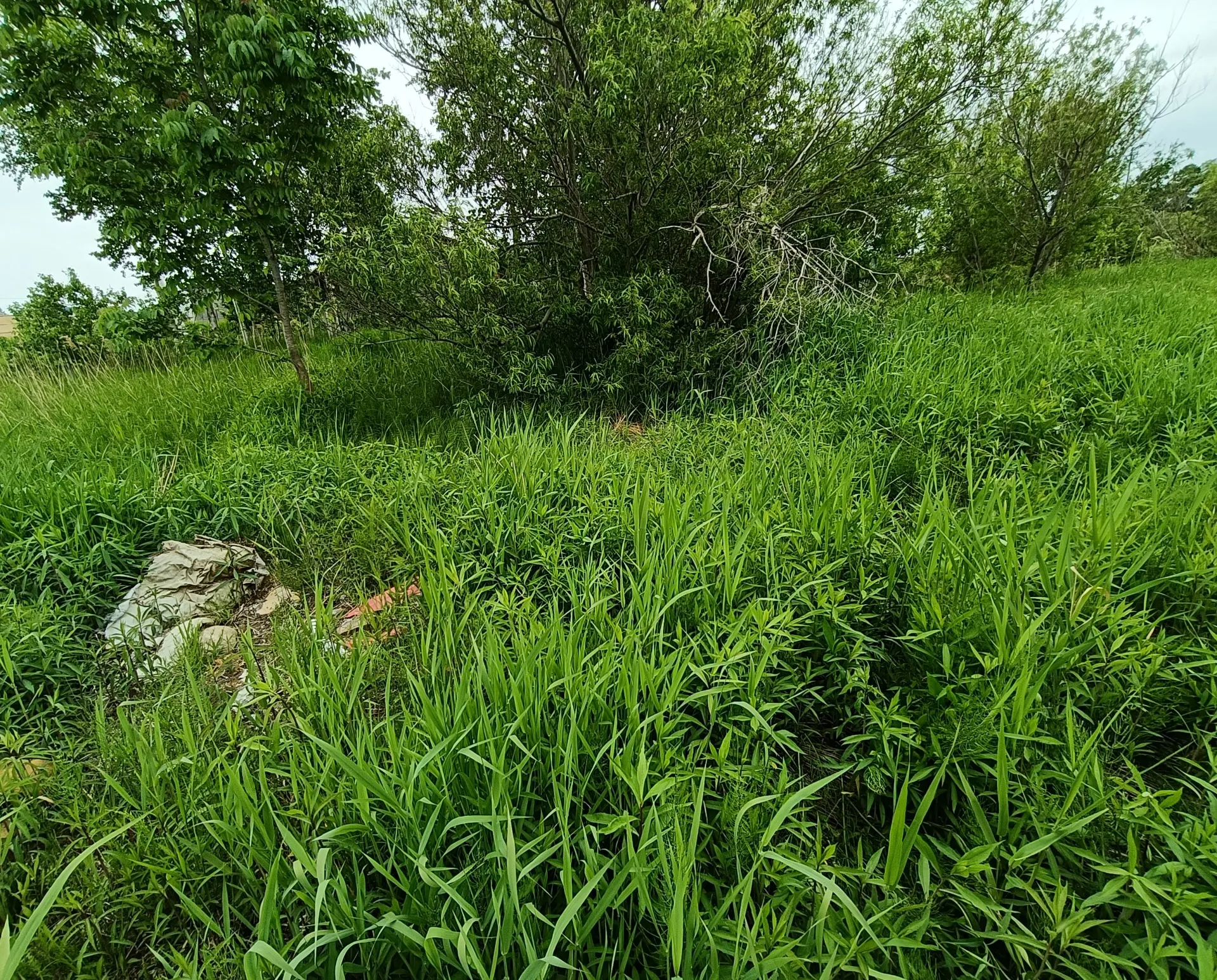 取引事例「市街化調整区域」の売買